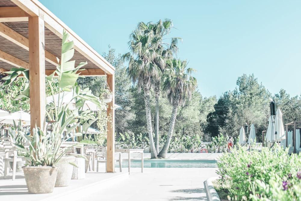 Hotel Boutique&Spa Las Mimosas Ibiza San Antonio Abad Exterior foto