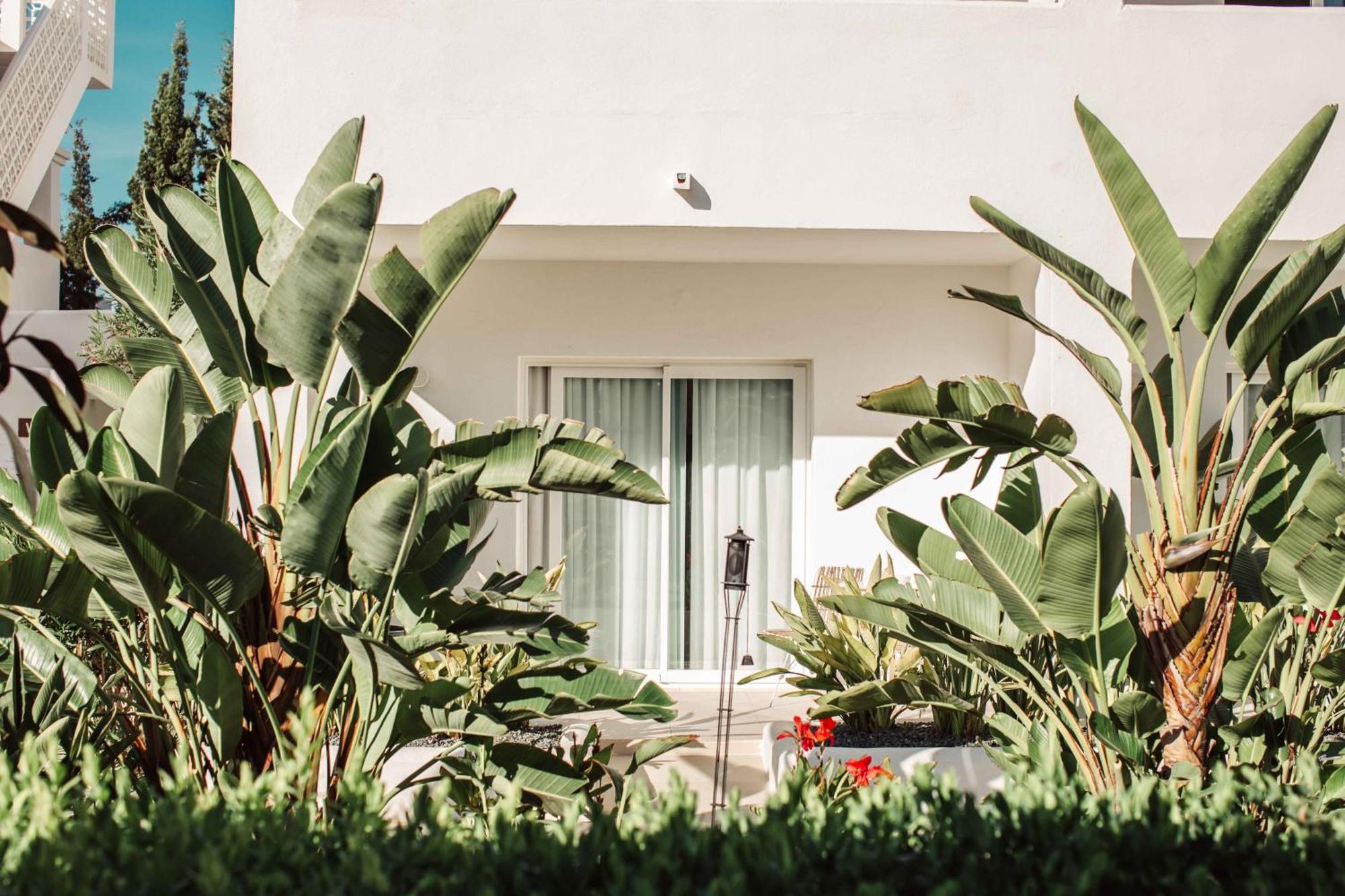 Hotel Boutique&Spa Las Mimosas Ibiza San Antonio Abad Exterior foto